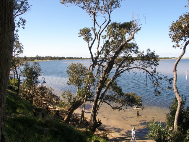 River Mouth View