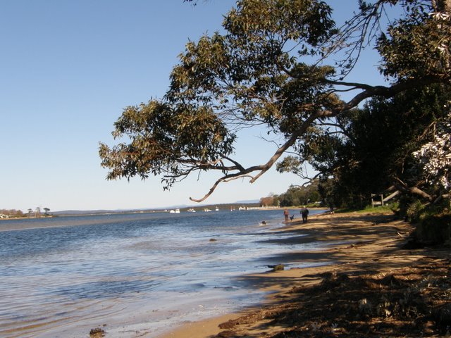 River Mouth View 2